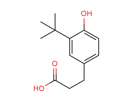 Molecular Structure of 107551-67-7 (3-(3-tert-butyl-4-hydroxyphenyl)propionic acid)