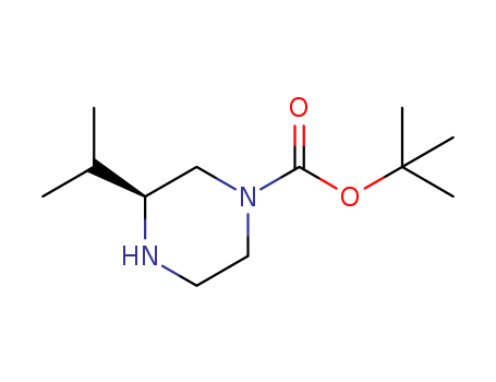 (S)-1-N-Boc-3-isopropylpiperazine CAS No.475272-54-9