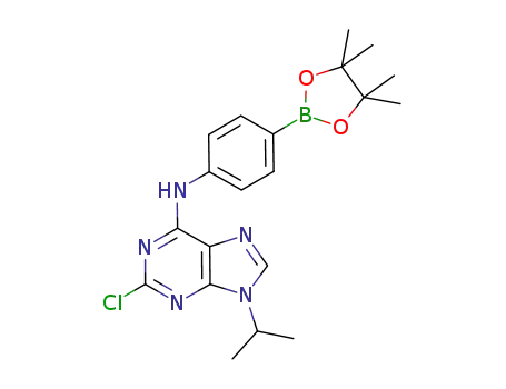 Molecular Structure of 1056016-74-0 (2-chloro-9-isopropyl-N-(4-(4,4,5,5-tetramethyl-1,3,2-dioxaborolan-2-yl)phenyl)-9H-purin-6-amine)