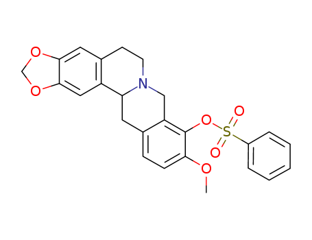 Click to see the large picture