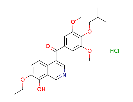 Click to see the large picture