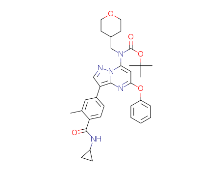 Click to see the large picture