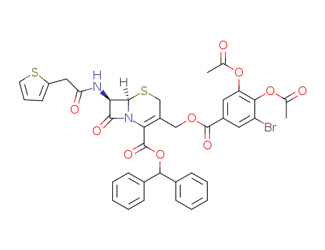 Click to see the large picture