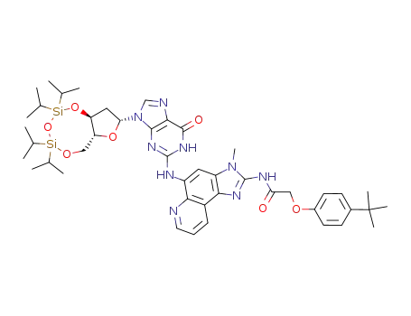 N<sup>2</sup>-[2-(2-(4-tert-butylphenoxyacetylamino)-3-methyl-3H-imidazo[4,5-f]quinolin-5-yl)]-[3',5'-O-(1,1,3,3-tetrakis(isopropyl)-1,3-disiloxanediyl)]-2'-deoxyguanosine