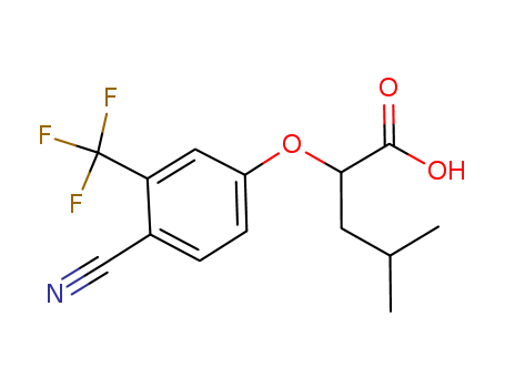 Click to see the large picture