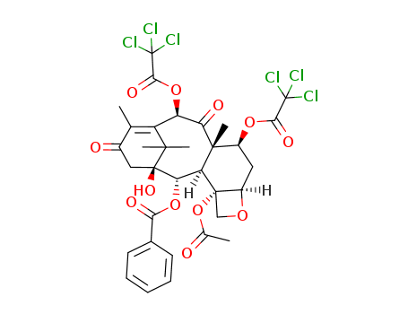 Click to see the large picture