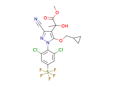 Click to see the large picture