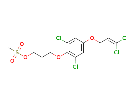 Click to see the large picture