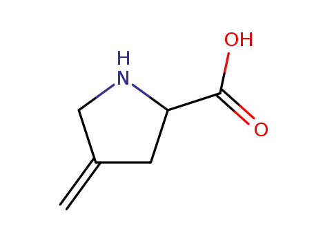 Molecular Structure of 2370-38-9 (Proline, 4-methylene-)