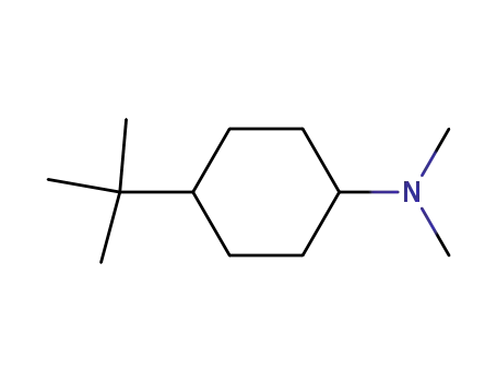 Molecular Structure of 22397-91-7 (Cyclohexanamine, 4-(1,1-dimethylethyl)-N,N-dimethyl-)