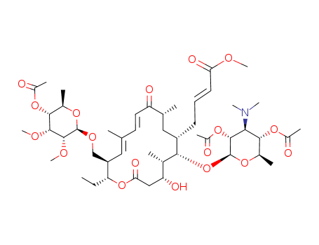 Click to see the large picture