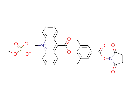Molecular Structure of 115853-74-2 (6'-Dimethyl-4'-(N-succinimidyloxycarbonyl)phenyl-10-methyl-acridinium-9-carboxylate methosulfate (DMAE-NHS))