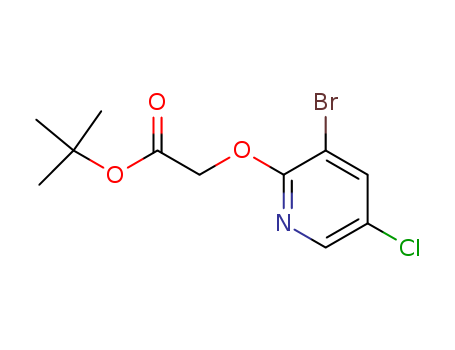 Click to see the large picture