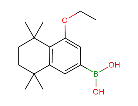Molecular Structure of 1159105-85-7 (4-ethoxy-5,5,8,8-tetramethyl-5,6,7,8-tetrahydronaphthalen-2-ylboronic acid)