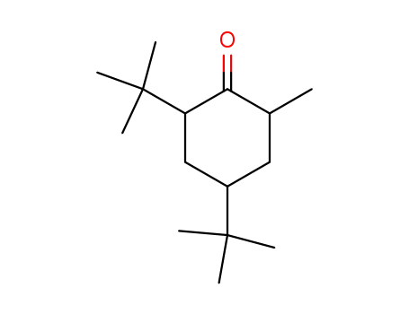 Molecular Structure of 35606-11-2 (2,4-di-<i>tert</i>-butyl-6-methyl-cyclohexanone)
