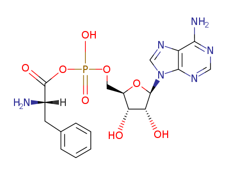 35874-27-2,phenylalanyl adenylate,Alanine,phenyl-, anhydride with adenylic acid, L- (6CI); L-Phenylalanyl adenylate;Phenylalanine adenylate anhydride; Phenylalanyladenylate