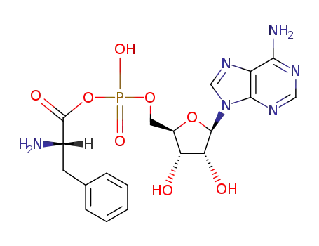 Molecular Structure of 35874-27-2 (phenylalanyl adenylate)
