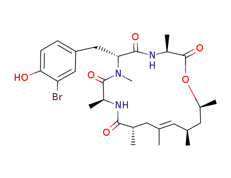 Click to see the large picture