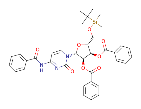 Click to see the large picture