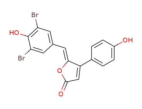 Click to see the large picture