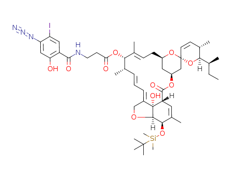 Click to see the large picture