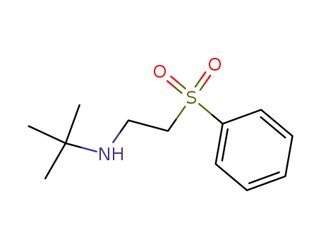 Molecular Structure of 16191-98-3 (2-methyl-N-[2-(phenylsulfonyl)ethyl]propan-2-amine)