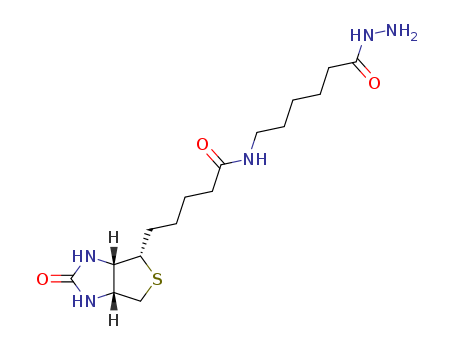 109276-34-8,BIOTINAMIDOCAPROYL HYDRAZIDE,Hexanoicacid, 6-[[5-(hexahydro-2-oxo-1H-thieno[3,4-d]imidazol-4-yl)-1-oxopentyl]amino]-,hydrazide, [3aS-(3aa,4b,6aa)]-; BACH; Biotinamidocaproyl hydrazide; EZ-LinkBiotin-LC-hydrazide