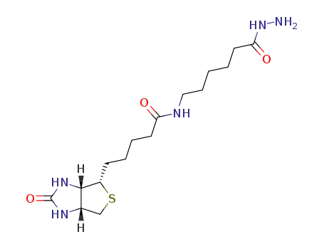 Molecular Structure of 109276-34-8 (BIOTINAMIDOCAPROYL HYDRAZIDE)