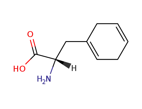 Molecular Structure of 16055-12-2 (2,5-dihydrophenylalanine)