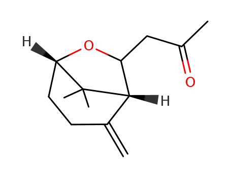 Molecular Structure of 357924-23-3 (1-(8,8-dimethyl-2-methylene-6-oxabicyclo[3.2.1]oct-7-yl)acetone)