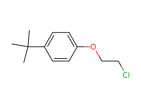 1-tert-butyl-4-(2-chloroethoxy)benzene