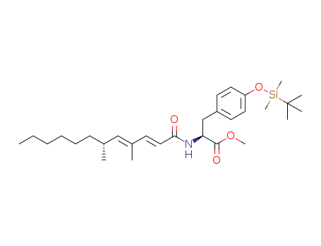 Click to see the large picture