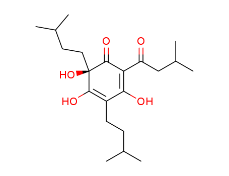 Click to see the large picture