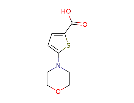 Molecular Structure of 332345-27-4 (5-Morpholinothiophene-2-carboxylic acid)
