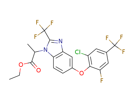 Click to see the large picture