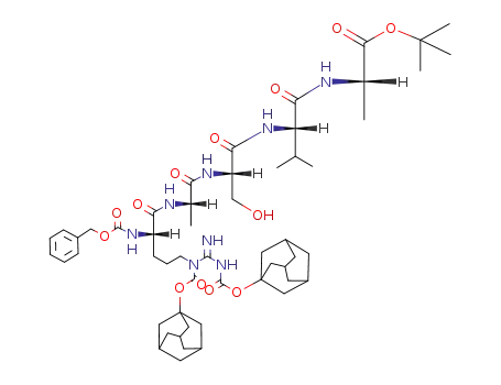 Molecular Structure of 99029-46-6 (Z-Arg(Adoc)2-Ala-Ser-Val-Ala-OBu<sup>t</sup>)