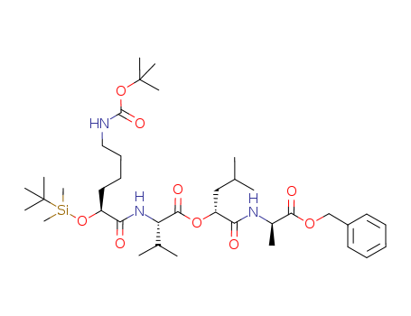 Click to see the large picture