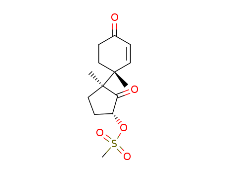 Click to see the large picture