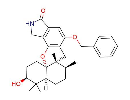 Click to see the large picture