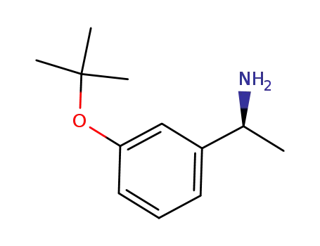 Molecular Structure of 917911-64-9 (Benzenemethanamine, 3-(1,1-dimethylethoxy)-α-methyl-, (αR)-)