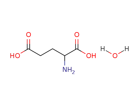 Molecular Structure of 19285-83-7 (DL-Glutamic acid monohydrate)