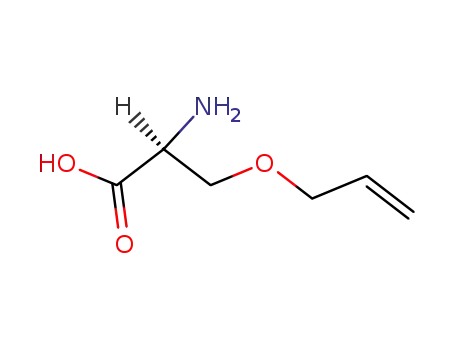 Molecular Structure of 107903-44-6 (L-Serine, O-2-propenyl-)