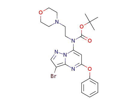 Molecular Structure of 1610680-02-8 (tert-butyl (3-bromo-5-phenoxypyrazolo[1,5-a]pyrimidin-7-yl)(2-morpholinoethyl)carbamate)