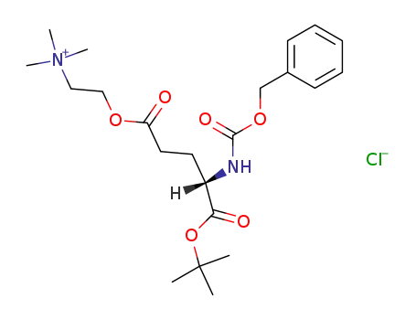 Molecular Structure of 101463-50-7 (γ-(α-tert-butyloxy-Z-glutamyl)choline chloride)