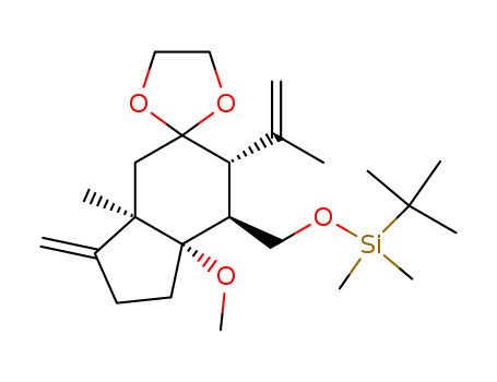 Click to see the large picture