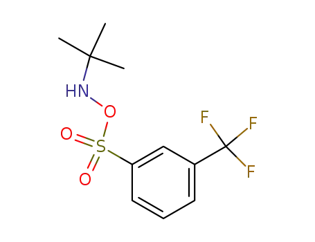 Molecular Structure of 85462-15-3 (N-t-Butyl-O-m-trifluoromethylbenzenesulfonylhydroxylamine)