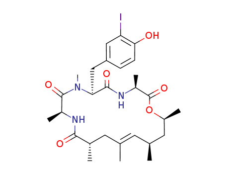 Click to see the large picture