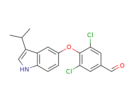 Click to see the large picture