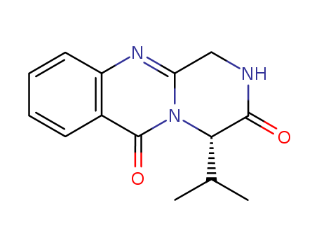 Click to see the large picture