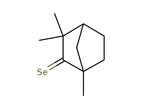 Molecular Structure of 61849-83-0 (Bicyclo[2.2.1]heptane-2-selone, 1,3,3-trimethyl-)